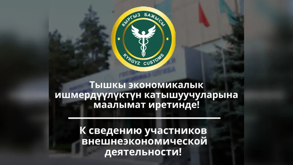 Инфосистемы Таможенной службы КР дали сбой — куда обращаться за помощью? изображение публикации