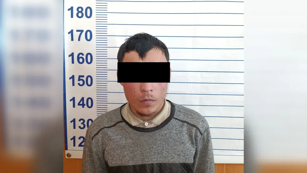 На Иссык-Куле задержали подозреваемого в краже лошадей стоимостью 1 млн сомов изображение публикации