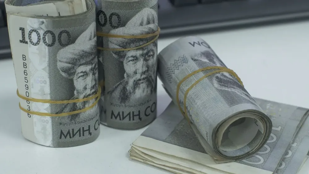 Сом просел ко всем основным валютам – курс НБКР на 14 июня изображение публикации