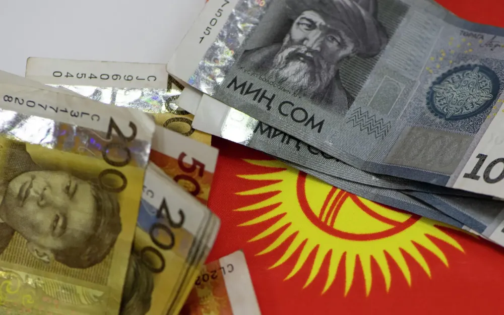 За счет стимгрантов на 1.5 млрд сомов КР в 2024 году профинансирует 439 проектов изображение публикации
