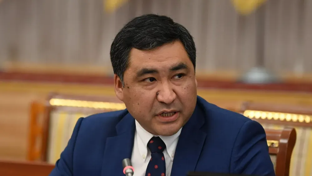 Казахстан хочет запретить продукцию, лицензированную в КР — что предпримет Минэконом изображение публикации