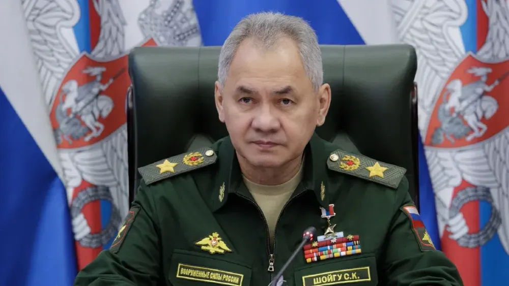Шойгу раскритиковал НПО в Центральной Азии за «антироссийскую» деятельность изображение публикации