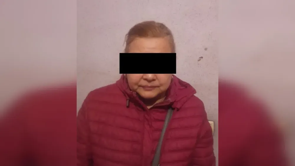 В Сокулукском районе задержана мошенница, продававшая чужие дома изображение публикации