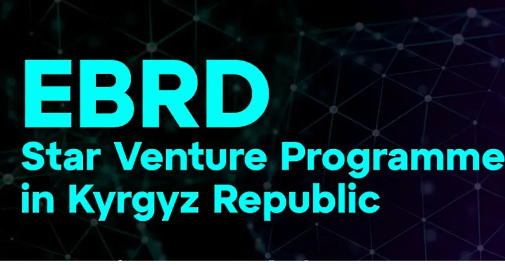 Шесть кыргызстанских стартапов отобрали для участия в программе Star Venture изображение публикации