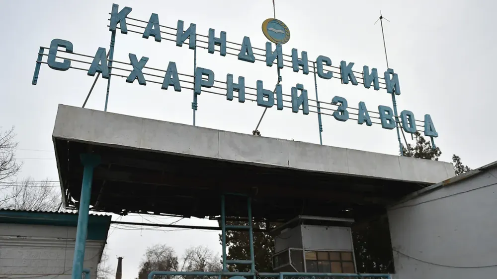 "Каинды-Кант" по итогам 2022 года выплатил 174.5 млн сомов дивидентов изображение публикации