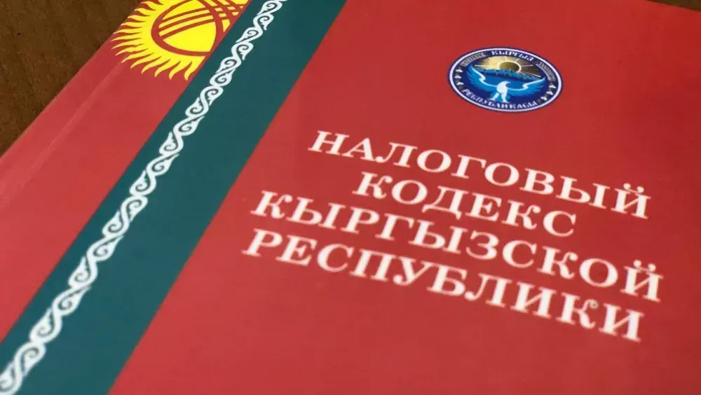 Комитет ЖК одобрил поправки в Налоговый кодекс — что это значит? изображение публикации
