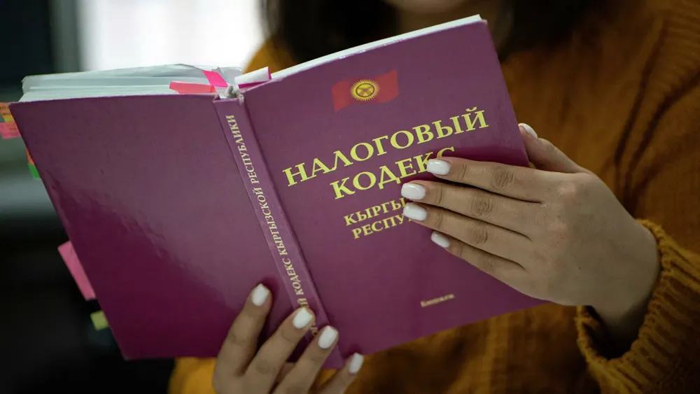 Мораторий на поправки в Налоговый кодекс может спасти инвестклимат в Кыргызстане изображение публикации