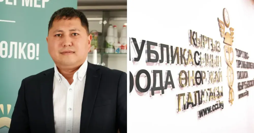 Принудительное объединение бизнеса в ТПП приведет к его ослаблению – глава ассоциации агропромышленников изображение публикации