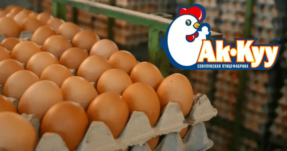 Крупнейший акционер птицефабрики "Ак-Куу" подарил 48.82% акций двум лицам изображение публикации