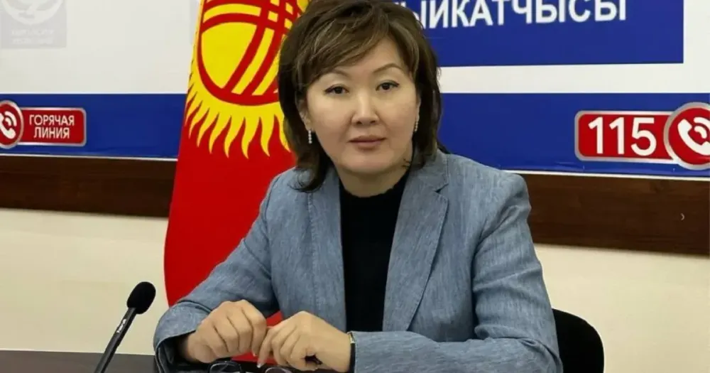 Уполномоченная по правам человека в Кыргызстане попросила депутатов ЖК отозвать законопроект об НКО изображение публикации