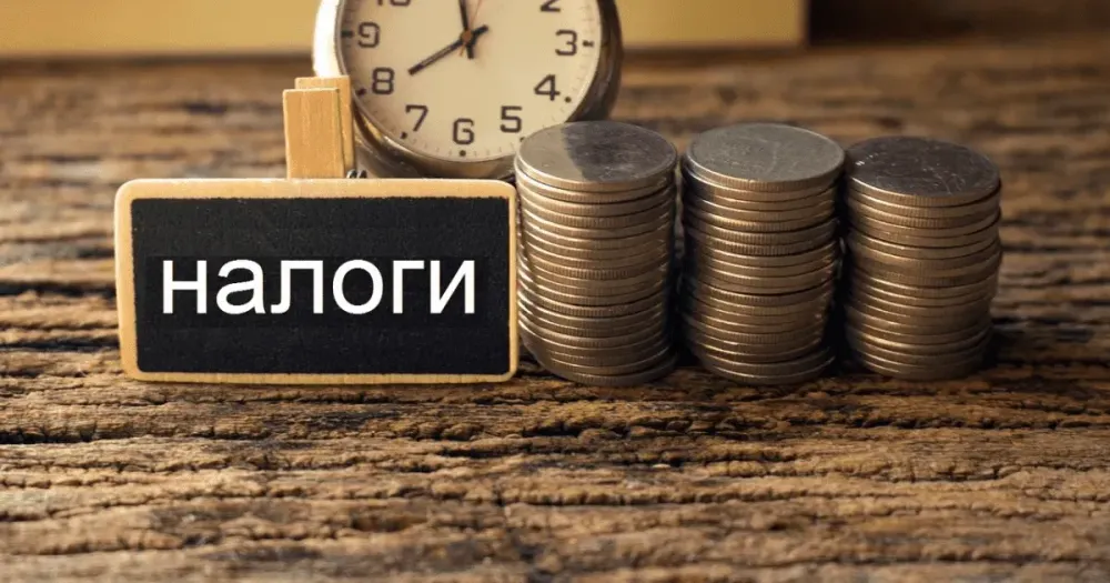 Налоговая служба за четыре месяца собрала 73.5 млрд сомов налогов и страховых взносов изображение публикации