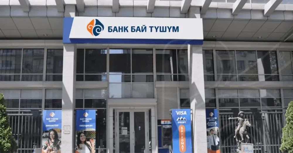 Член совета директоров «Бай-Тушум» Лида Вардания подала в отставку изображение публикации