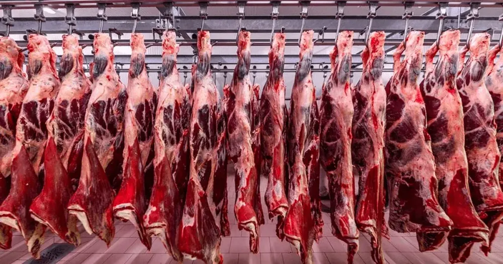В Кыргызстане создадут фермерские хозяйства для продажи мяса исключительно в ОАЭ изображение публикации