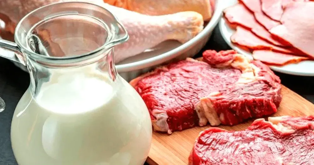 Кыргызстан будет продавать молоко и мясо в Узбекистан изображение публикации