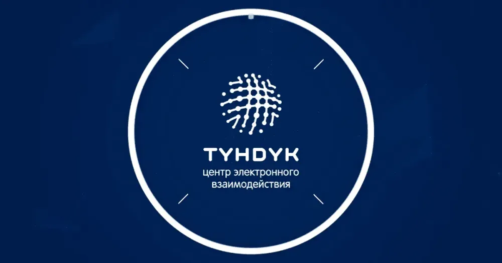Документы и справки 175 частных организаций и госорганов можно получить в системе «Тундук» изображение публикации