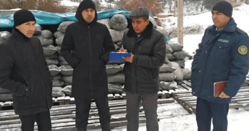 В Нарыне и Баткене провели мониторинг цен на уголь изображение публикации