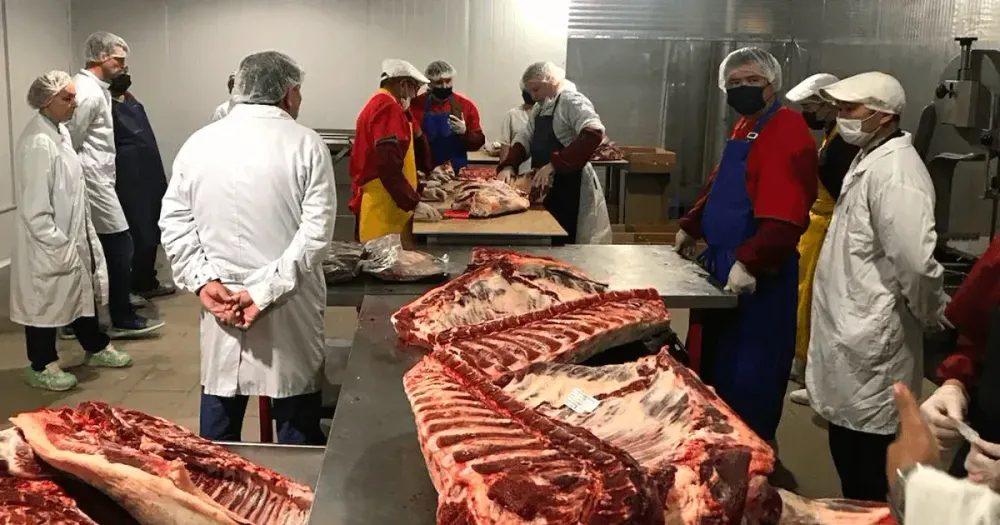 Кыргызстанская компания «Торо» может начать экспорт мяса в Венгрию изображение публикации