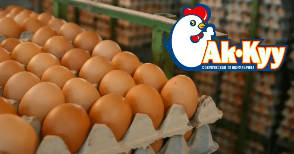 Два акционера стали владельцами 98% акций птицефабрики «Ак-Куу» изображение публикации