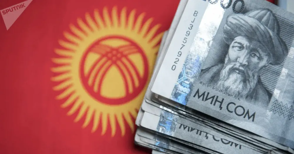 На погашение госдолга в 2022 году выделили 30.6 млрд сомов изображение публикации