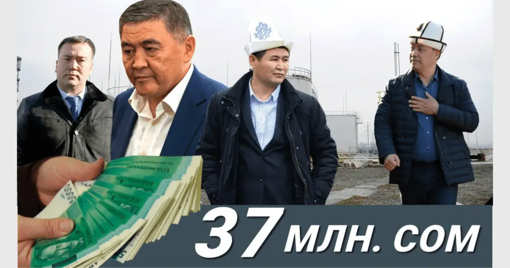 Свыше 380 тысяч просмотров набрало расследование о «схеме Ташиевых» – число подписчиков удвоилось изображение публикации