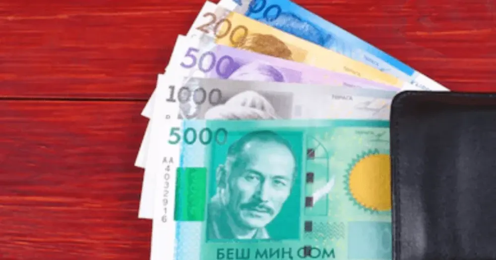 Несмотря на коронавирус выдача микрокредитов выросла до 6.9 млрд сомов изображение публикации