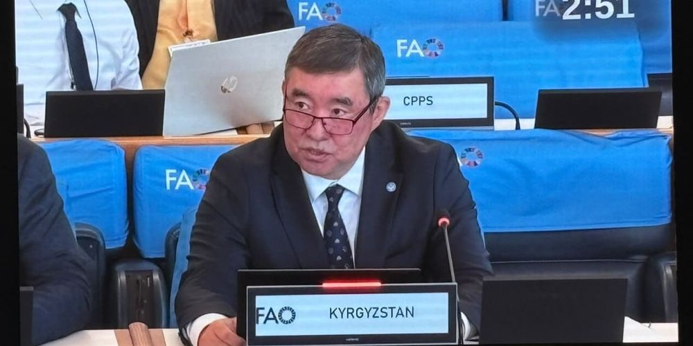 Кыргызстан представил ФАО планы по развитию рыбоводства изображение публикации