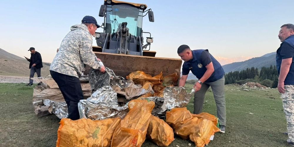 Свалку в урочище Арал ликвидировали после видео в соцсетях изображение публикации
