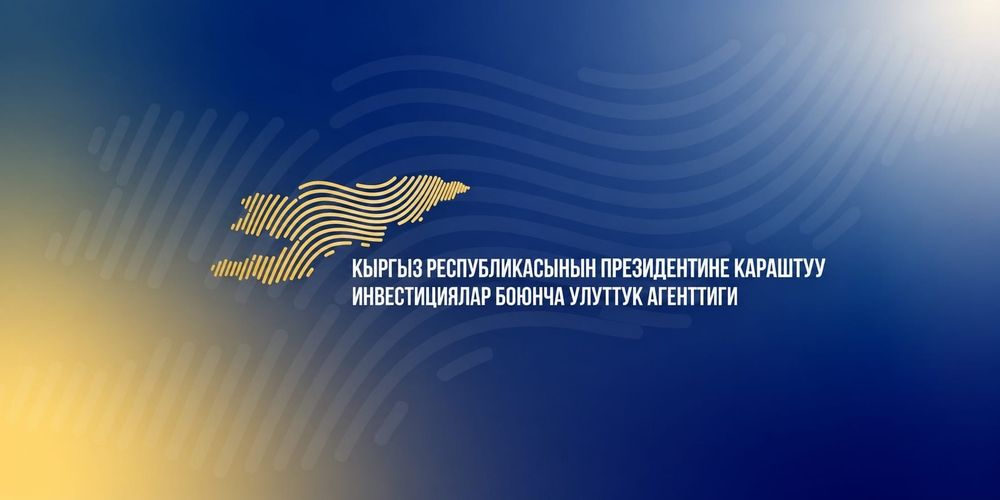 Нацагентство по инвестициям КР сможет оказывать услуги изображение публикации