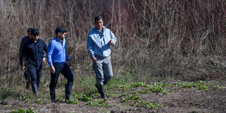 Жители Бишкека 8 октября смогут обсудить с мэром озеленение города изображение публикации