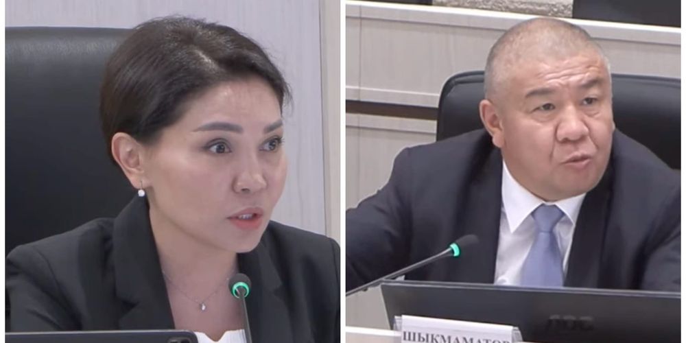 «Не путайте»: Эльвира Сурабалдиева потребовала от чиновников кабмина соблюдать этику в ЖК изображение публикации