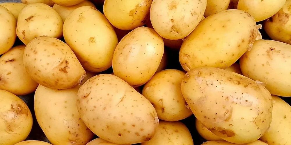 Картофель у фермеров стоит 15–17 сомов, на рынках Бишкека — до 60 сомов изображение публикации