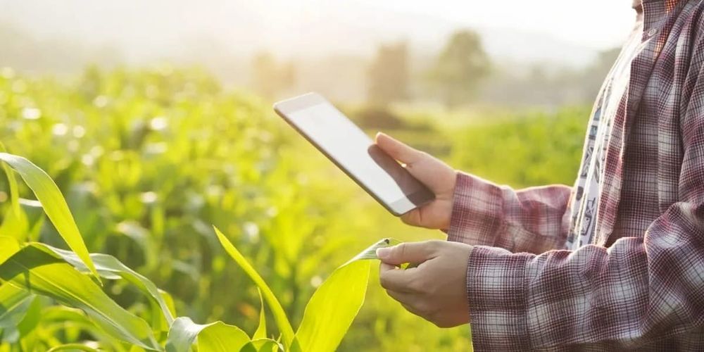 В Кыргызстане запустили цифровую платформу IDyikan для фермеров изображение публикации