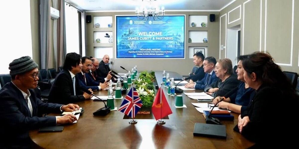 Онкологическую клинику за $585 млн предлагают построить в Асмане изображение публикации