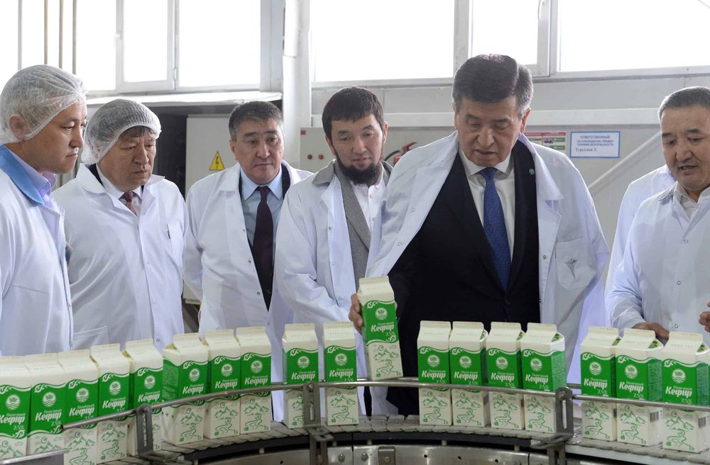 Молокозавод «Кант-Сут» в 2019 году реализовал продукции на 644 млн сомов изображение публикации