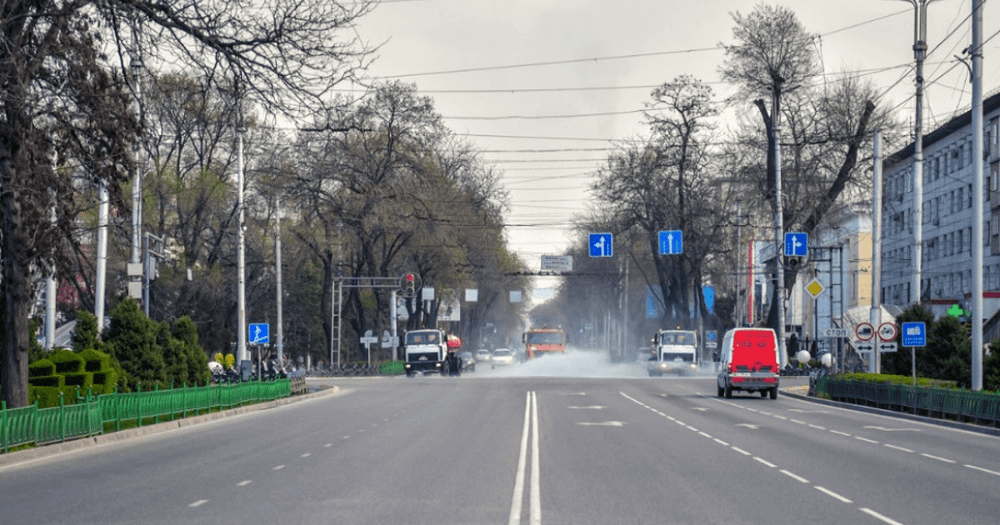 Перевозчикам продуктов, медикаментов и ГСМ достаточно 4 документа для передвижения в Бишкеке, – Эльвира Боромбаева изображение публикации