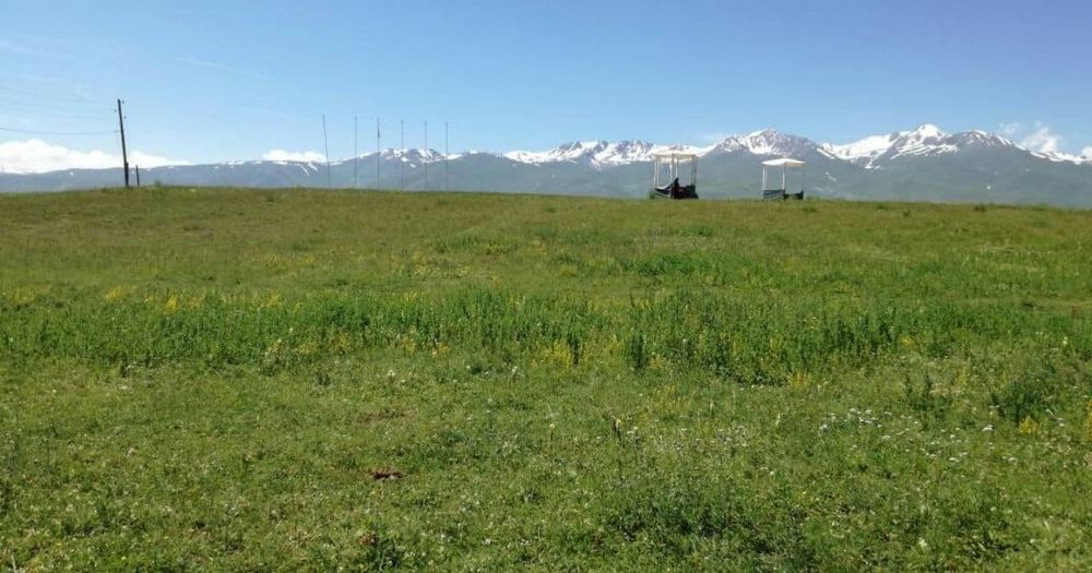 Сарпашев вернул государству более 500 га земли после возбуждения уголовного дела изображение публикации