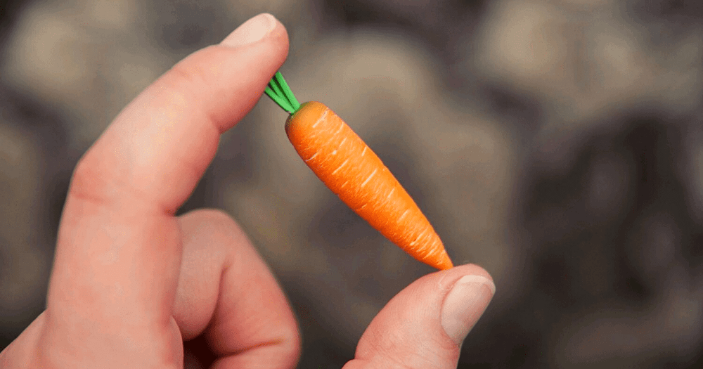 Начато антимонопольное расследование в отношении поставщиков моркови изображение публикации