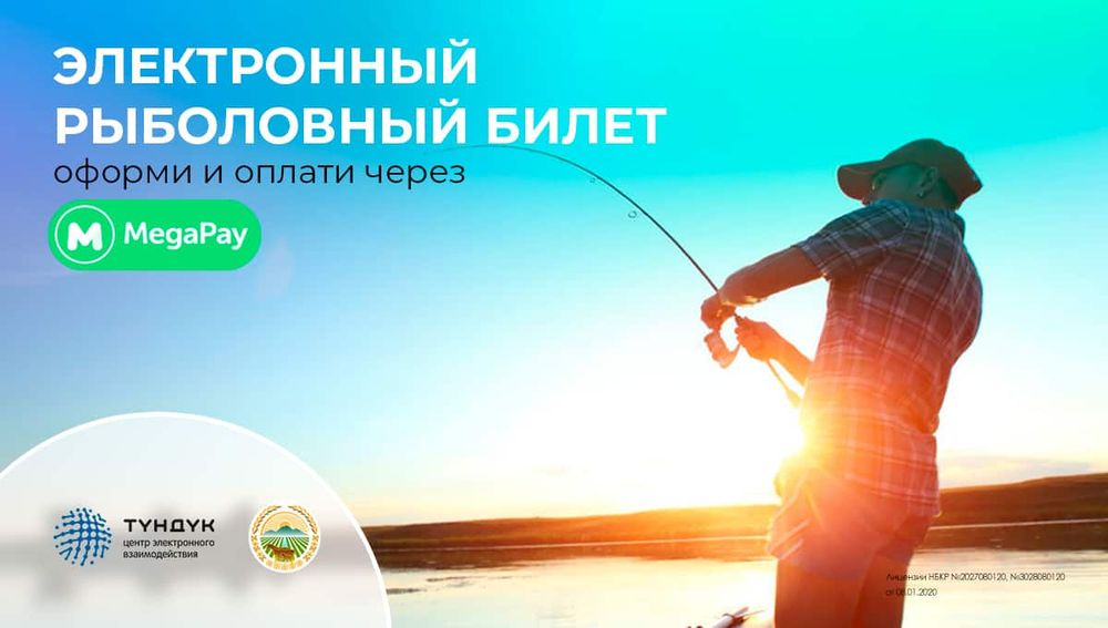Как легко и быстро получить разрешение на ловлю рыбы в Кыргызстане онлайн? изображение публикации
