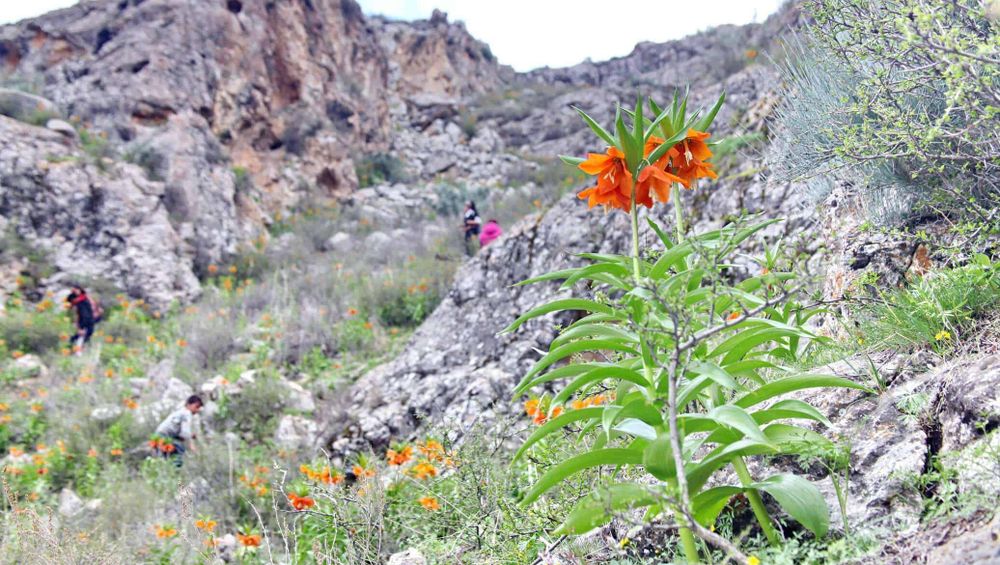 Минфин перечислил Баткенской области 210 млн сомов изображение публикации