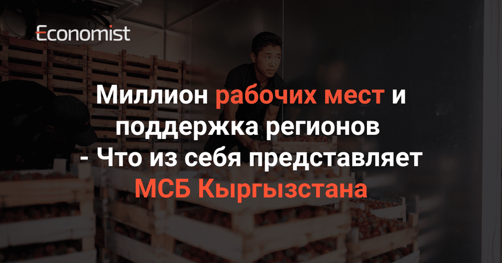 Миллион рабочих мест и поддержка регионов. Что из себя представляет МСБ Кыргызстана изображение публикации