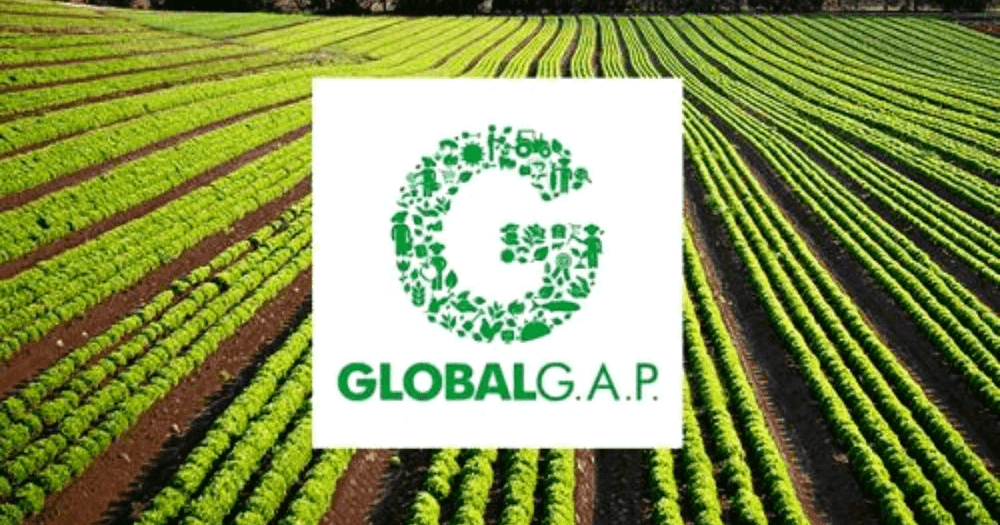 Замминистра сельского хозяйства не знает о GLOBALG.A.P. — депутат возмущен изображение публикации