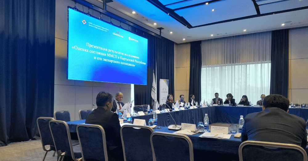 Малому бизнесу от властей больше всего нужны три вещи: деньги, гарантии по кредитам и налоговые льготы изображение публикации