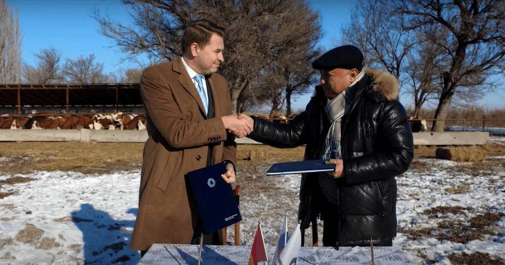 РКФР предоставил молочной ферме ISEO кредит на $600 тысяч изображение публикации