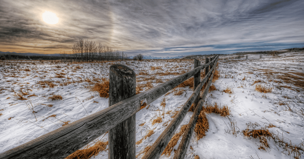 Генпрокуратура нашла в Кара-Балте должника-арендатора земли и заставила расплатиться изображение публикации