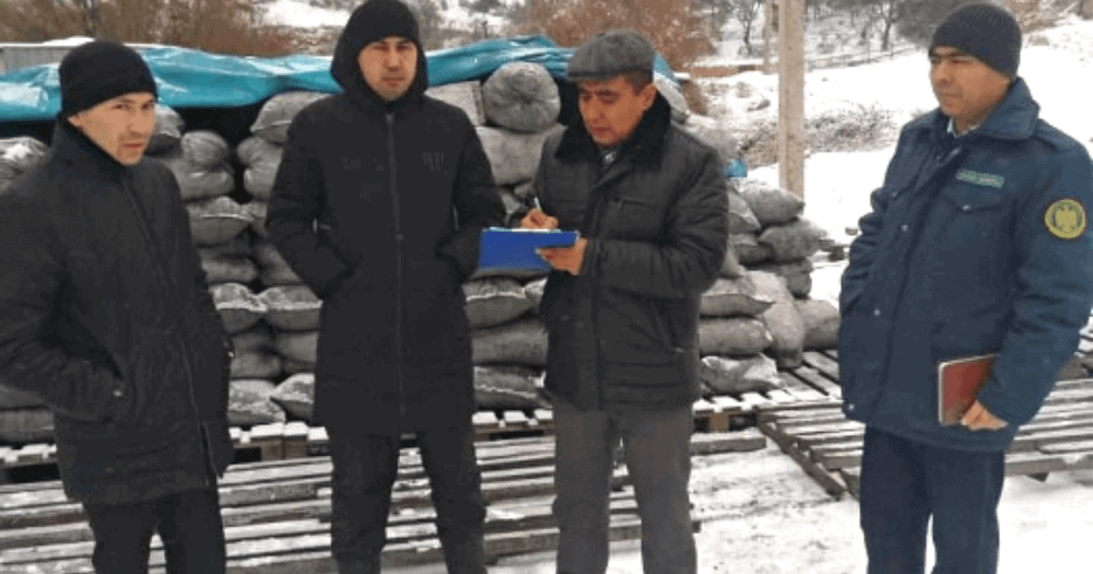 В Нарыне и Баткене провели мониторинг цен на уголь изображение публикации