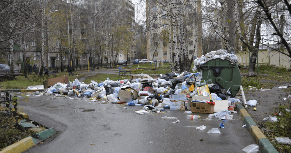 11 млн сомов штрафов заплатили жители Бишкека за порчу города в 2022 году изображение публикации