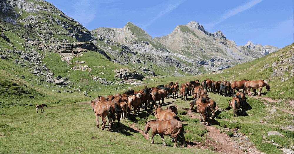 В 2022 году власти выдали фермерам более чем 2.7 млрд сомов льготных кредитов изображение публикации