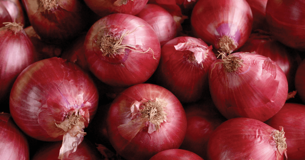 Казахстан ограничил экспорт лука изображение публикации