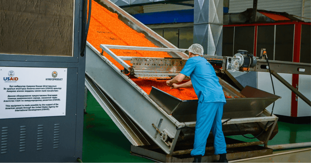 Экспортер плодоовощной продукции из Кыргызстана расширил производство и рынки сбыта при поддержке USAID изображение публикации