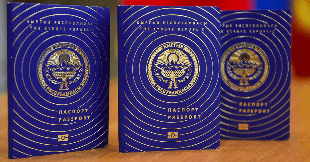 Экс-губернатор и дочь адвоката — кто еще получил кыргызский паспорт вслед за Евгенией Судец изображение публикации